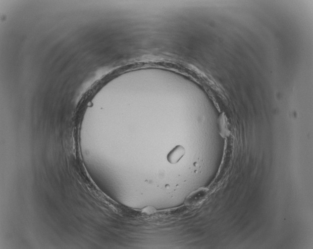 X0000079581262200612221422