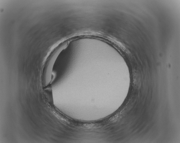 X0000079581264200612221422