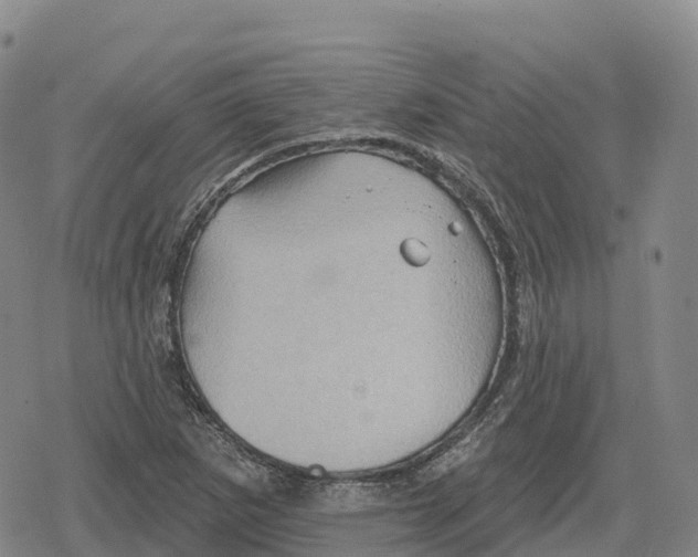 X0000079581265200612221421