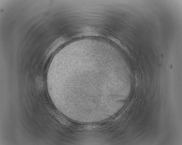 X0000079581266200612221421