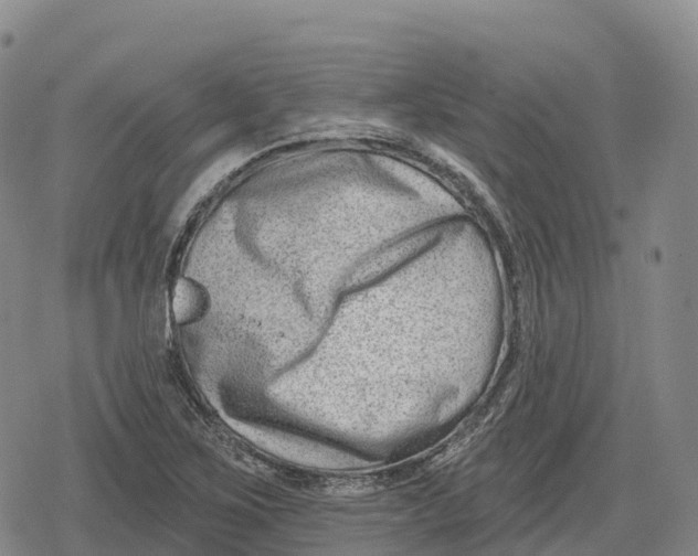 X0000079581267200612221421