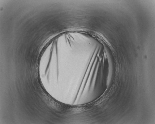 X0000079581268200612221421