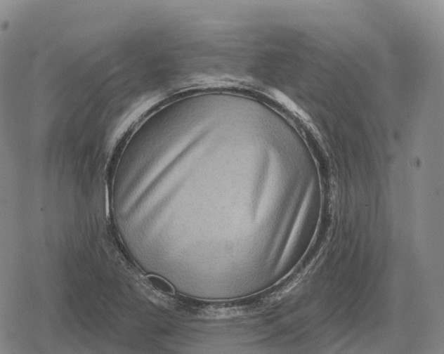 X0000079581269200612221421