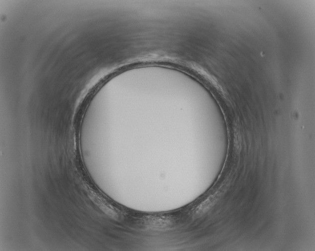 X0000079581270200612221421