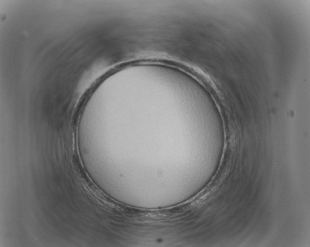 X0000079581271200612221421