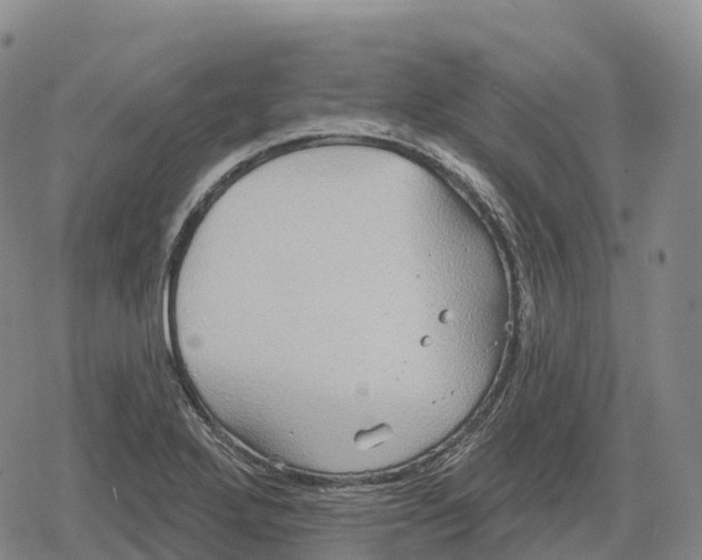 X0000079581272200612221421