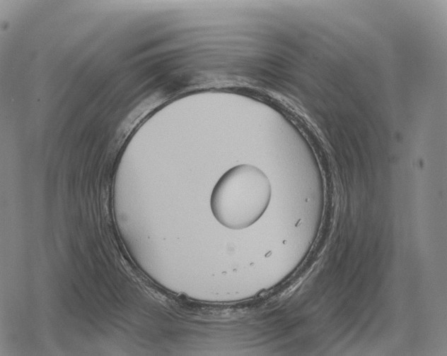 X0000079581273200612221421