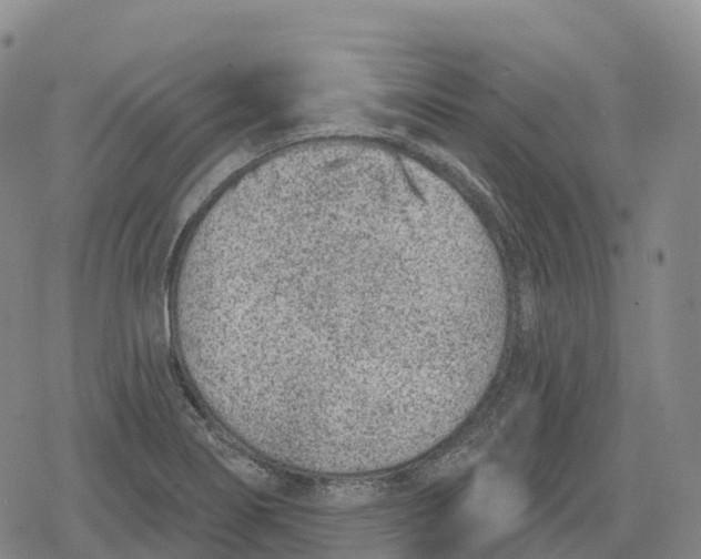 X0000079581274200612221421