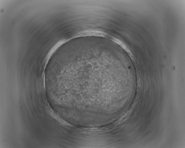 X0000079581275200612221421