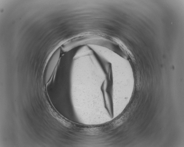 X0000079581276200612221421