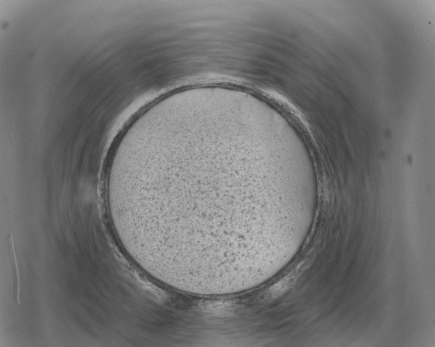 X0000079581278200612221421