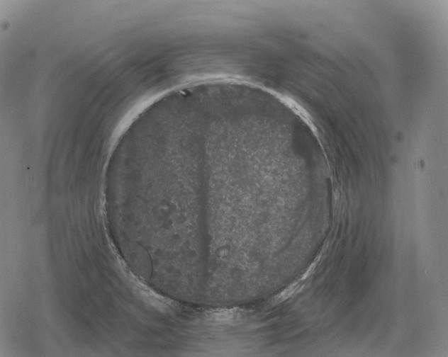 X0000079581279200612221421