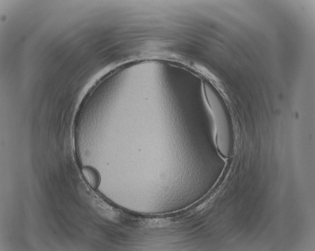 X0000079581280200612221421