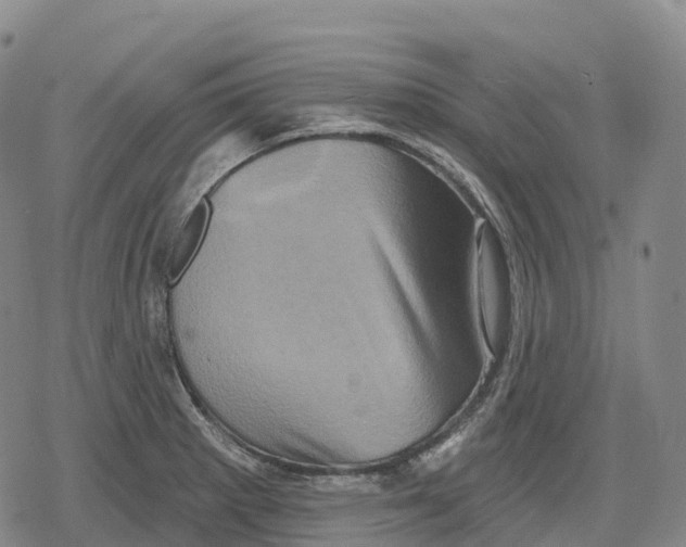 X0000079581281200612221421