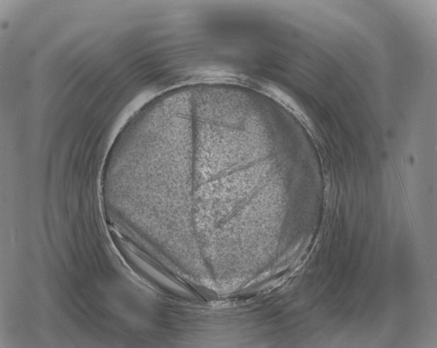 X0000079581283200612221421