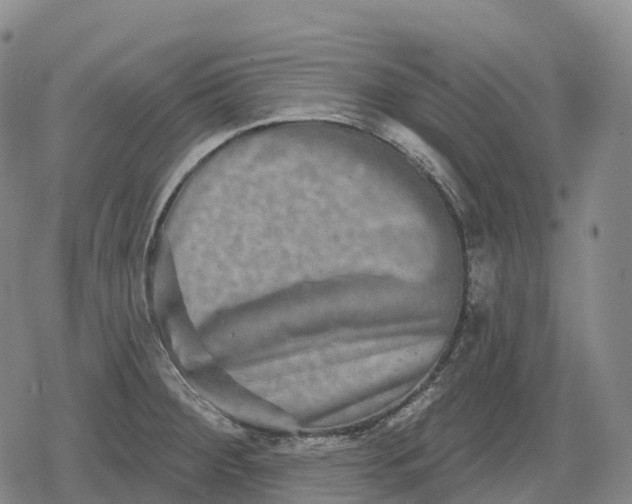 X0000079581284200612221421