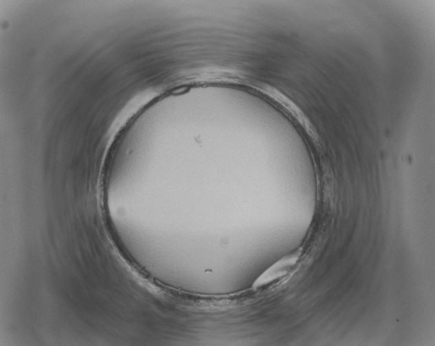 X0000079581285200612221421