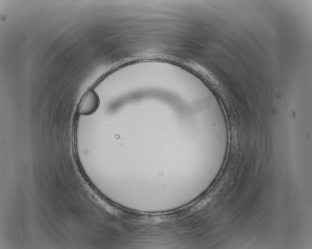 X0000079581286200612221421