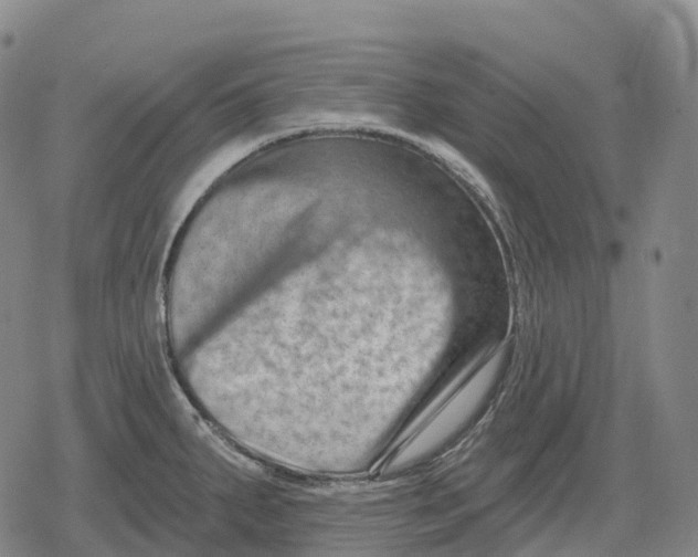 X0000079581287200612221421