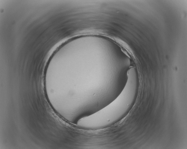 X0000079581288200612221421