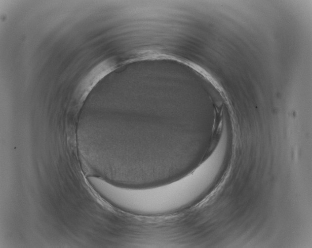 X0000079581289200612221421