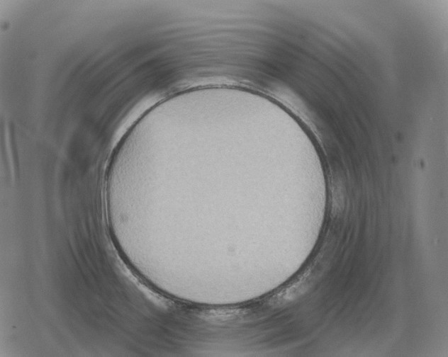 X0000079581290200612221421