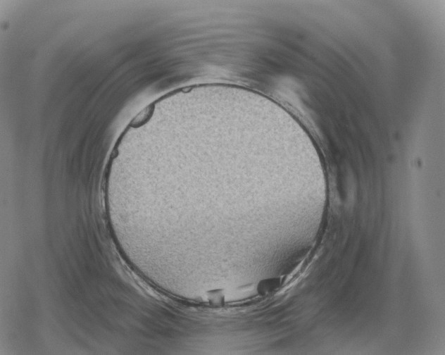 X0000079581292200612221421