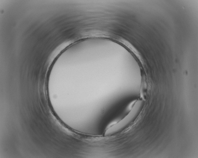 X0000079581293200612221421