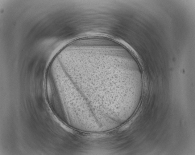 X0000079581294200612221421