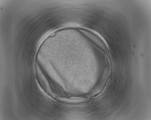 X0000079581295200612221421