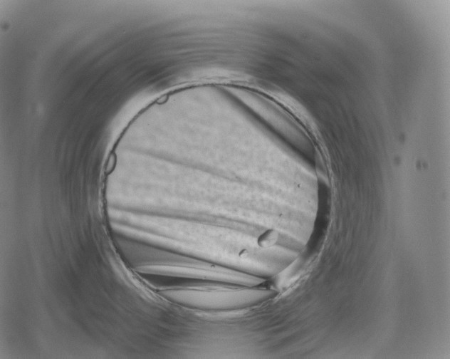 X0000079581296200612221421