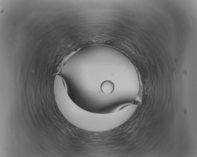 X0000079581298200612221420