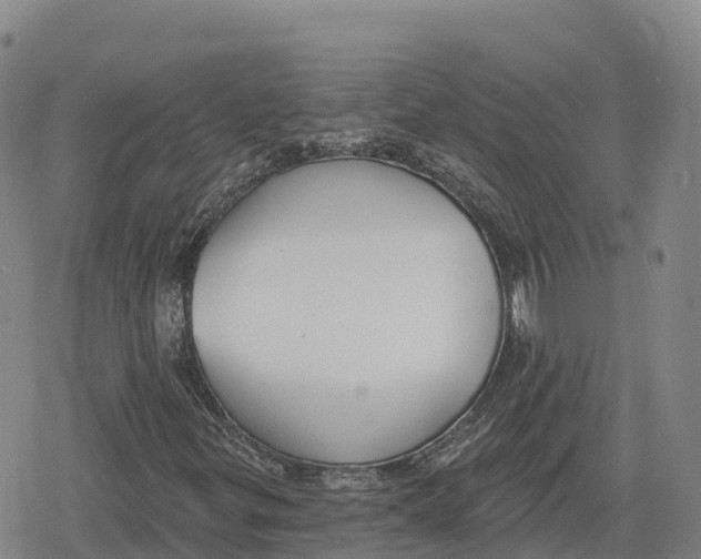 X0000079581299200612221420