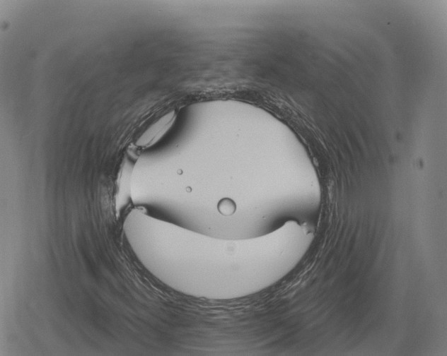 X0000079581300200612221420