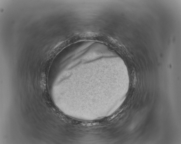 X0000079581301200612221420