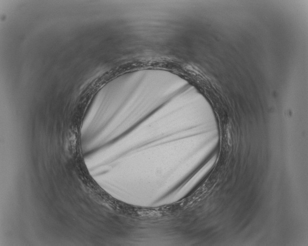 X0000079581302200612221420