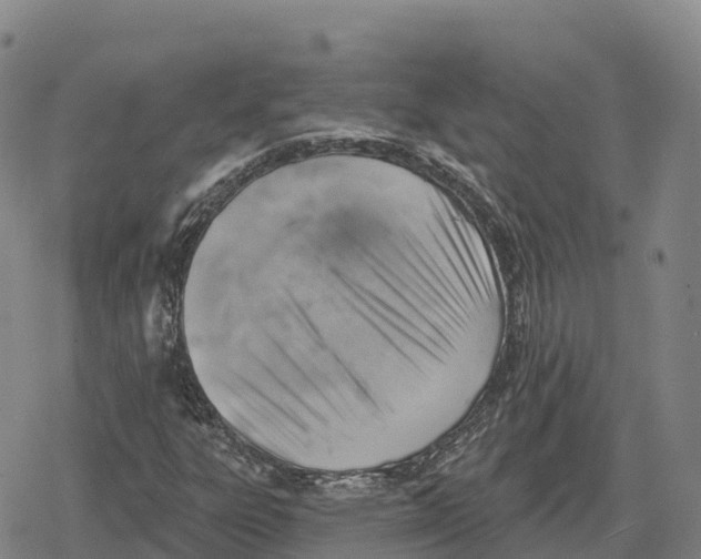 X0000079581303200612221420