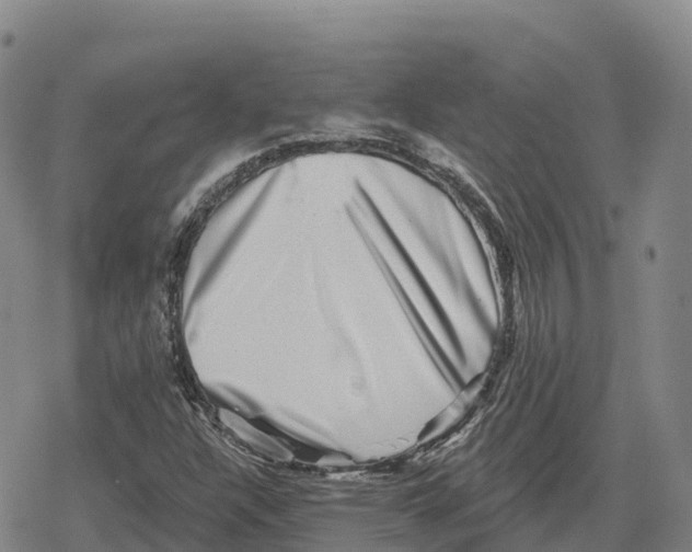 X0000079581304200612221420