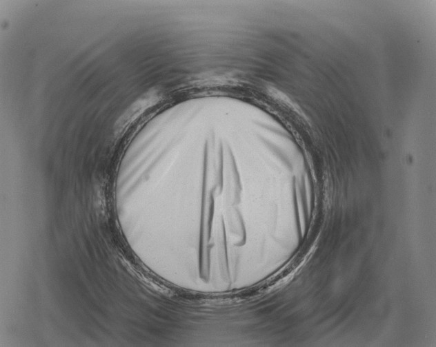 X0000079581305200612221420