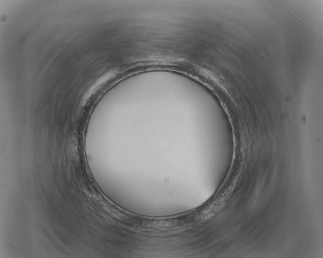 X0000079581307200612221420