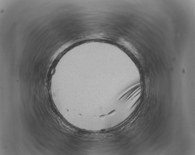 X0000079581308200612221420