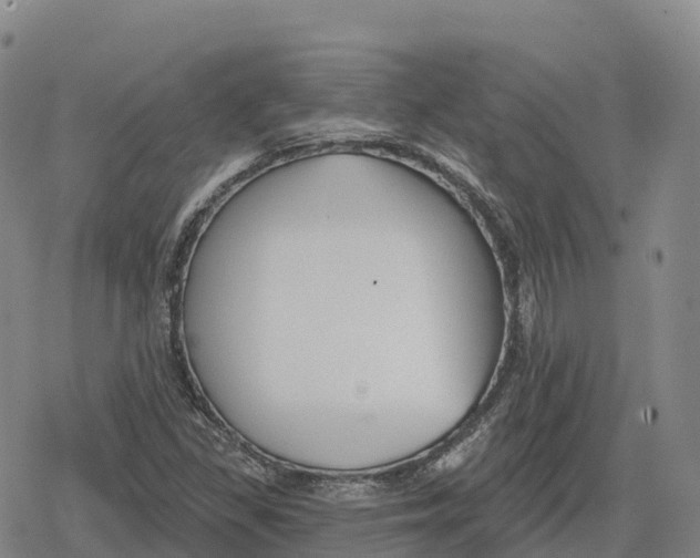 X0000079581309200612221420