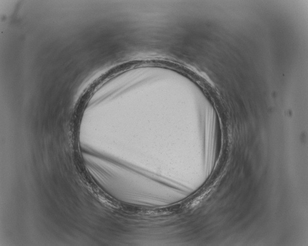 X0000079581311200612221420