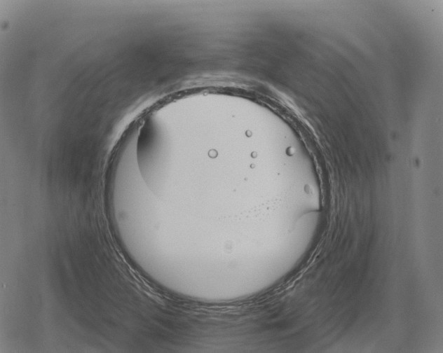 X0000079581312200612221420