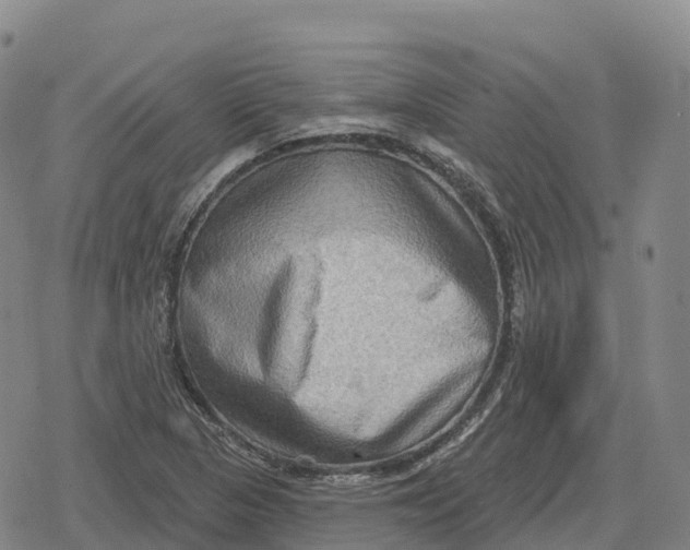 X0000079581313200612221420