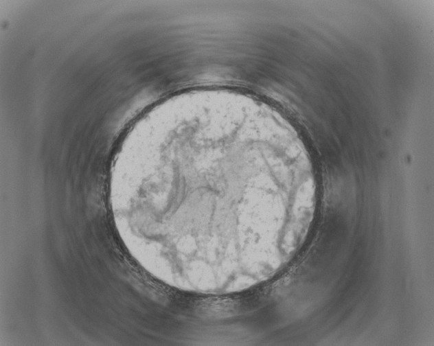 X0000079581314200612221420