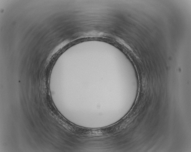 X0000079581315200612221421