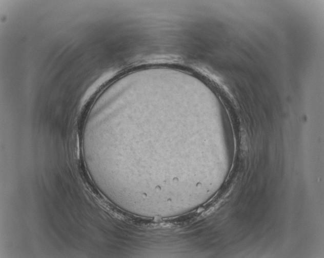 X0000079581317200612221421