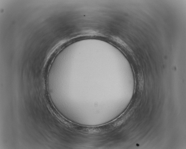 X0000079581318200612221421