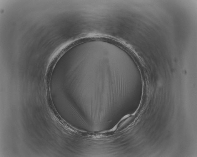 X0000079581319200612221421